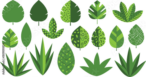 Collection of various green tropical plant leaves and succulents