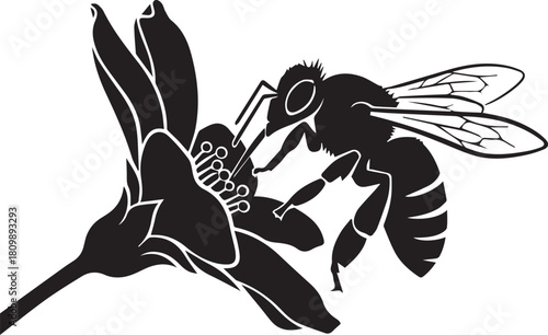 Silhouette of a bee collecting nectar from a delicate flower in striking black and white