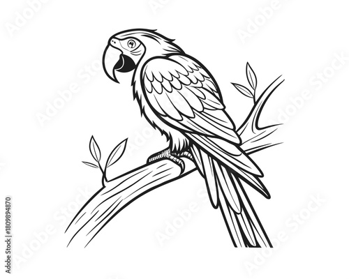 A black and white line drawing depicts a macaw parrot with its beak open, perched on a textured tree branch with small leaves