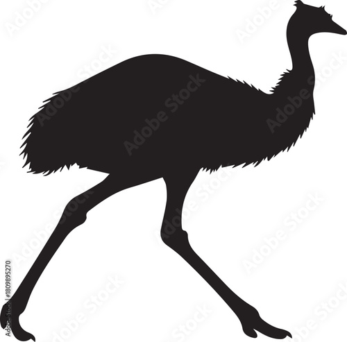 Silhouette of a majestic emu walking with long legs and feathery details on a clean
