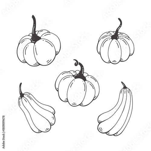 Hand-drawn Pumpkin and Gourd Outlines Collection