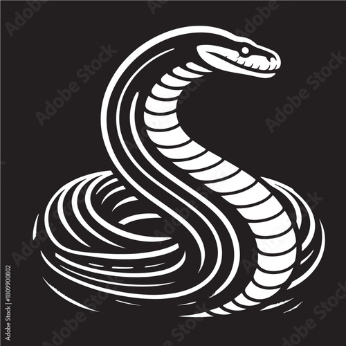 snake in black and white on a black background, vector illustration
