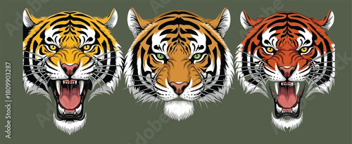 Three tiger heads showing different colors and expressions