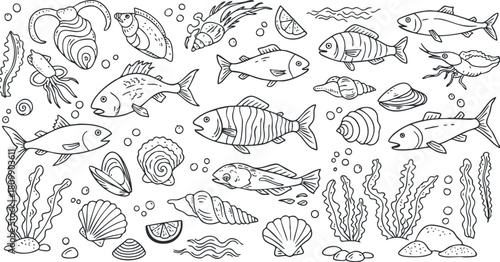 Hand-drawn vector illustration featuring a variety of fish, shells, and marine life, ideal for ocean-themed designs and coloring pages