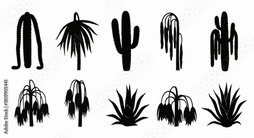 Silhouetted plant collection showcasing diverse shapes and forms in black and white.