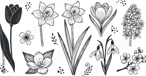 Hand-drawn black and white vector illustration featuring a collection of various flowers and botanical elements for nature-themed design projects