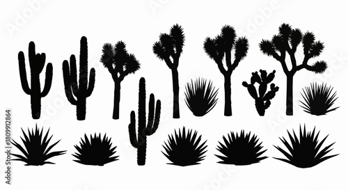 Desert landscape silhouette featuring various cacti and desert vegetation.