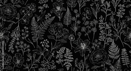 Botanical Sketch - A Detailed Study of Flora in Monochrome.