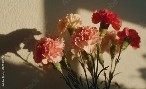 Carnations in a Vase Casting Soft Shadows in Warm Afternoon Light by a Window