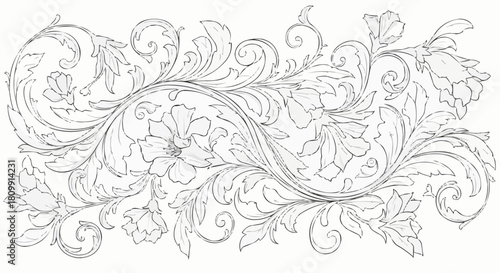 Hand drawn vintage floral scroll with acanthus leaves line art.