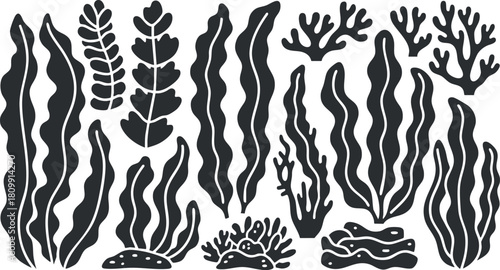 Collection of elegant silhouette vector illustrations featuring various seaweed and coral designs for marine-themed projects