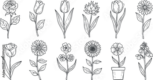 Hand-drawn vector illustration of various flowers including roses, tulips, daisies, and sunflowers for design projects