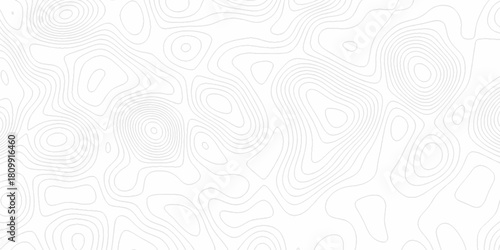 White wave paper curved reliefs abstract background, Abstract topographic contours map background. digital topographic contour map concept space geometric strip grid line. Natural discovery of maps.