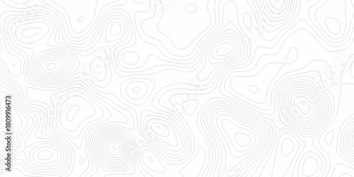 White wave paper curved reliefs abstract background, Abstract topographic contours map background. digital topographic contour map concept space geometric strip grid line. Natural discovery of maps.