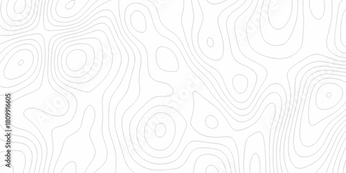White wave paper curved reliefs abstract background, Abstract topographic contours map background. digital topographic contour map concept space geometric strip grid line. Natural discovery of maps.