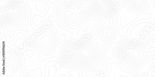 White wave paper curved reliefs abstract background, Abstract topographic contours map background. digital topographic contour map concept space geometric strip grid line. Natural discovery of maps.