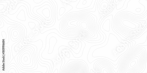 White wave paper curved reliefs abstract background, Abstract topographic contours map background. digital topographic contour map concept space geometric strip grid line. Natural discovery of maps.