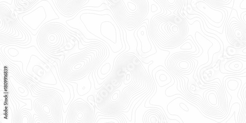 White wave paper curved reliefs abstract background, Abstract topographic contours map background. digital topographic contour map concept space geometric strip grid line. Natural discovery of maps.