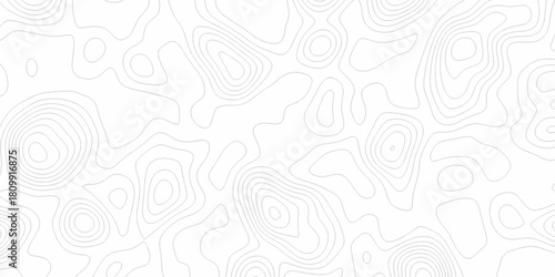 White wave paper curved reliefs abstract background, Abstract topographic contours map background. digital topographic contour map concept space geometric strip grid line. Natural discovery of maps.