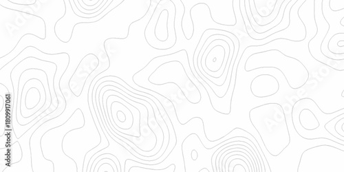 White wave paper curved reliefs abstract background, Abstract topographic contours map background. digital topographic contour map concept space geometric strip grid line. Natural discovery of maps.
