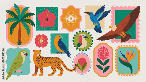 Tropical Animals And Flowers In Decorative Frames birds