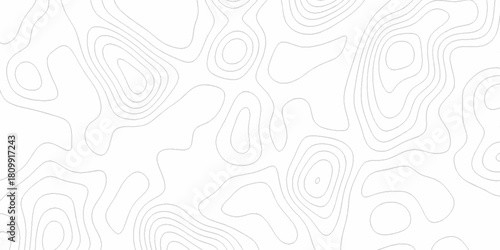 White wave paper curved reliefs abstract background, Abstract topographic contours map background. digital topographic contour map concept space geometric strip grid line. Natural discovery of maps.
