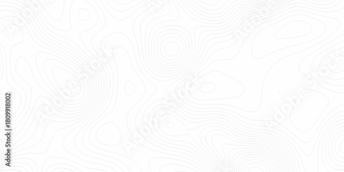 White wave paper curved reliefs abstract background, Abstract topographic contours map background. digital topographic contour map concept space geometric strip grid line. Natural discovery of maps.