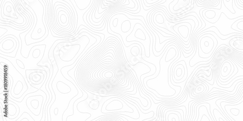 White wave paper curved reliefs abstract background, Abstract topographic contours map background. digital topographic contour map concept space geometric strip grid line. Natural discovery of maps.
