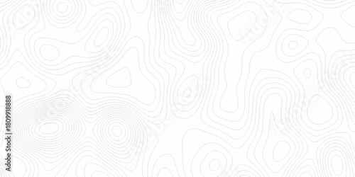 White wave paper curved reliefs abstract background, Abstract topographic contours map background. digital topographic contour map concept space geometric strip grid line. Natural discovery of maps.