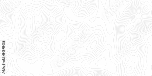 White wave paper curved reliefs abstract background, Abstract topographic contours map background. digital topographic contour map concept space geometric strip grid line. Natural discovery of maps.