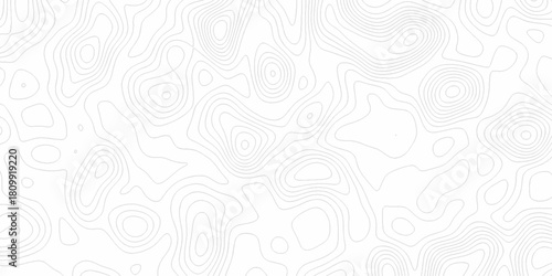 White wave paper curved reliefs abstract background, Abstract topographic contours map background. digital topographic contour map concept space geometric strip grid line. Natural discovery of maps.