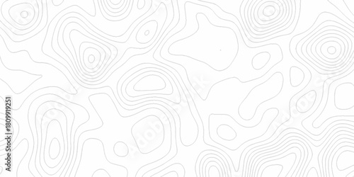 White wave paper curved reliefs abstract background, Abstract topographic contours map background. digital topographic contour map concept space geometric strip grid line. Natural discovery of maps.