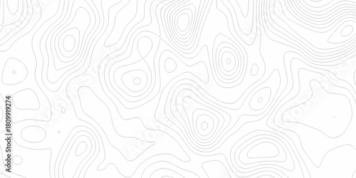 White wave paper curved reliefs abstract background, Abstract topographic contours map background. digital topographic contour map concept space geometric strip grid line. Natural discovery of maps.