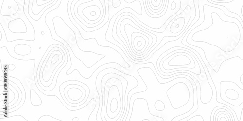 White wave paper curved reliefs abstract background, Abstract topographic contours map background. digital topographic contour map concept space geometric strip grid line. Natural discovery of maps.