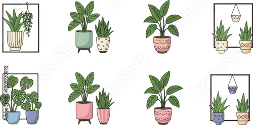 Collection of cute indoor potted plants with decorative planters, minimalist home greenery, botanical illustrations, and stylish houseplant decor perfect for creative projects