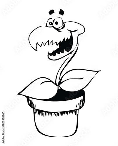 Cartoon carnivorous plant with big teeth in a pot and big eyes in black and white drawing style