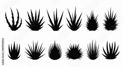 Collection of Black Silhouette Grass Clumps and Plants.