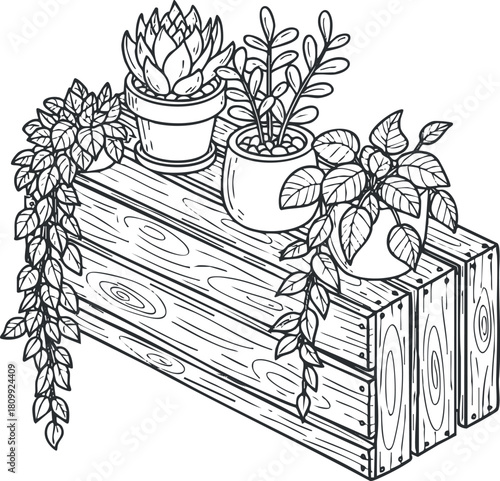 Hand-drawn vector illustration of various potted plants atop a wooden planter for gardening and home decor