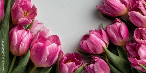 Pink Tulips Arrangement on a White Background for Spring Decoration or Floral...