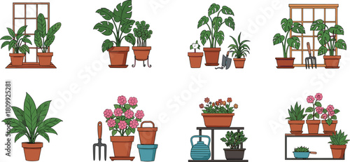 Indoor potted plant collection with gardening tools, blooming flowers, home greenery arrangements, decorative pots, and botanical illustrations for creative design projects