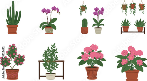 Collection of indoor potted plants featuring orchids, cacti, succulents, and flowering houseplants in decorative pots and stands for botanical illustrations