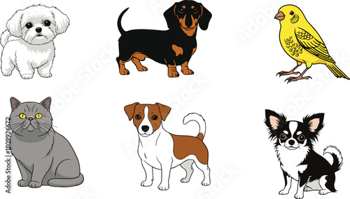 Cute illustrated collection of dogs, cat, and bird pets in colorful cartoon style perfect for animal graphics, stickers, education, and pet designs