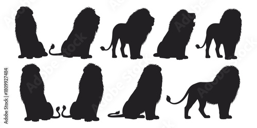 Lion silhouettes collection majestic feline poses in black and white vector art