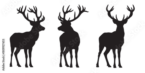 Three majestic deer silhouettes standing tall on a white background
