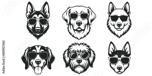 Cool dogs wearing sunglasses vector illustration of various breeds of faces