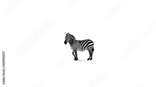 Striking black and white zebricorn with a single horn standing on a clean white background. Unique fantasy animal concept art.