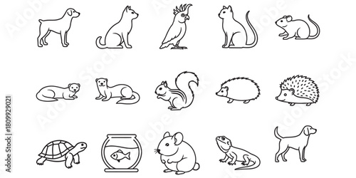 Collection of pet animal outline illustrations for design 