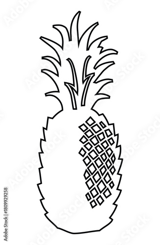 Outline drawing of a pineapple with diamond pattern and spiky leaves on a white background design art