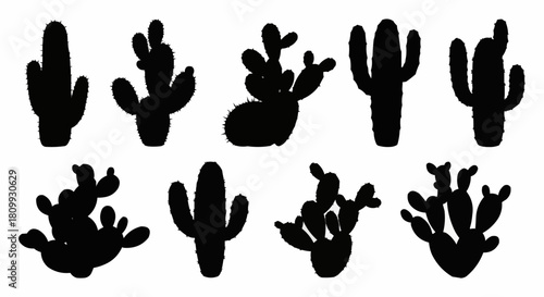 Silhouettes of various cacti plants in black color on white background.