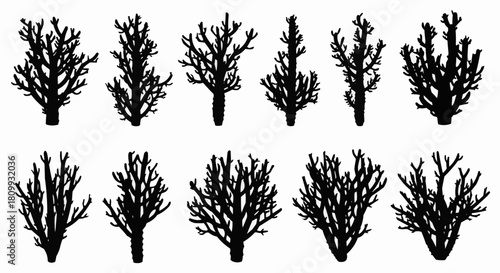 Set of black silhouettes of various bare bushes and shrubs.